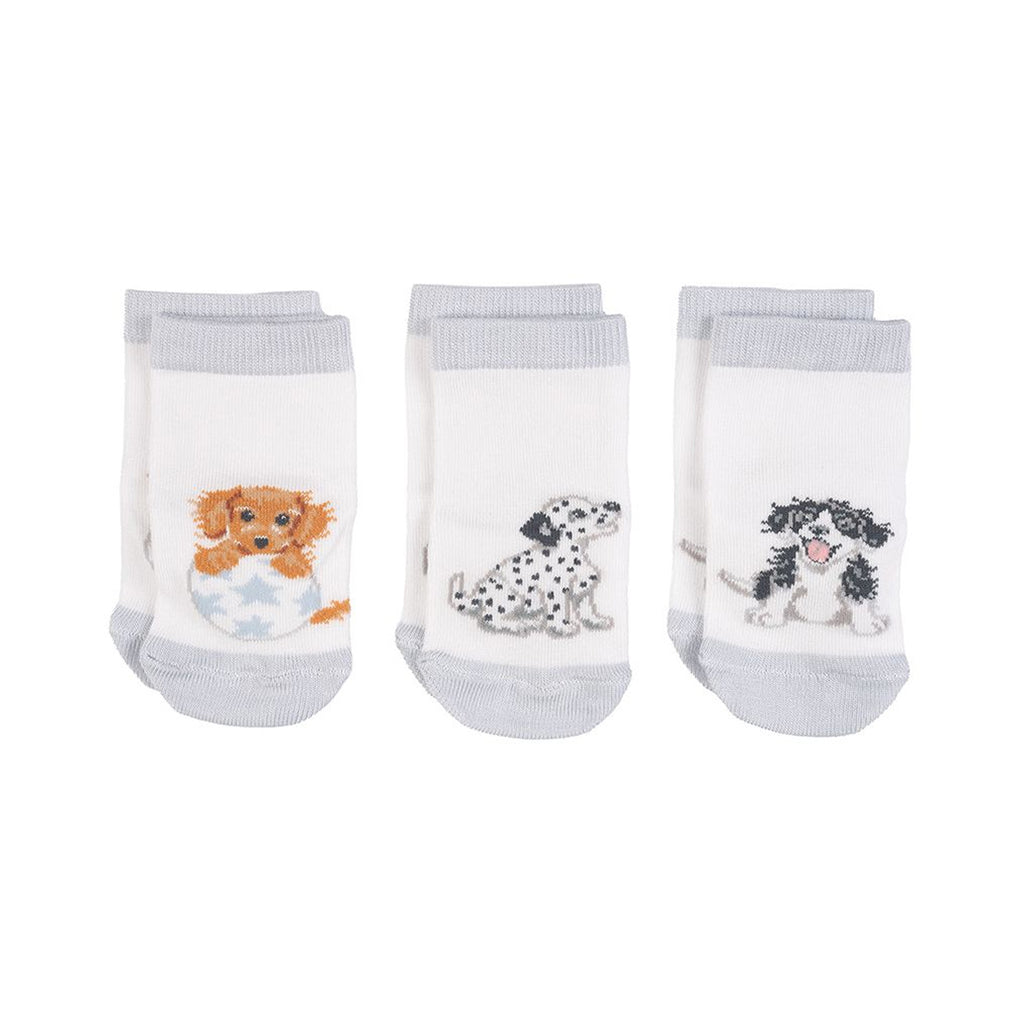 Wrendale Little Paws Baby Socks Set