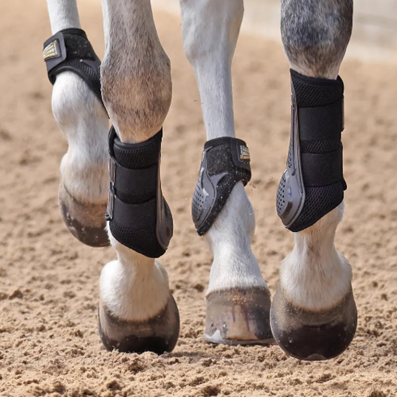 ARMA OXI-ZONE Fetlock Boots - Black