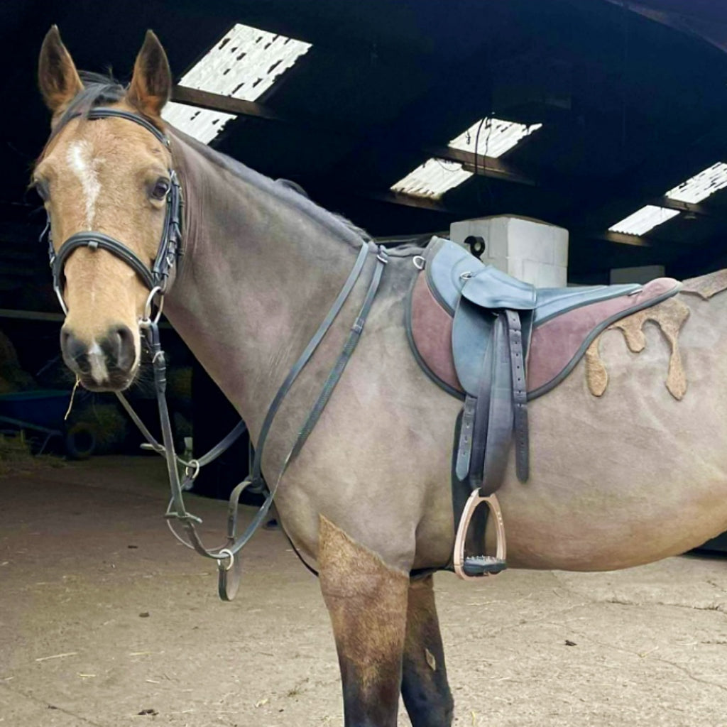 Posh Pony Trail Pad with Easy-Clean Leather Seat - Brown Velvet