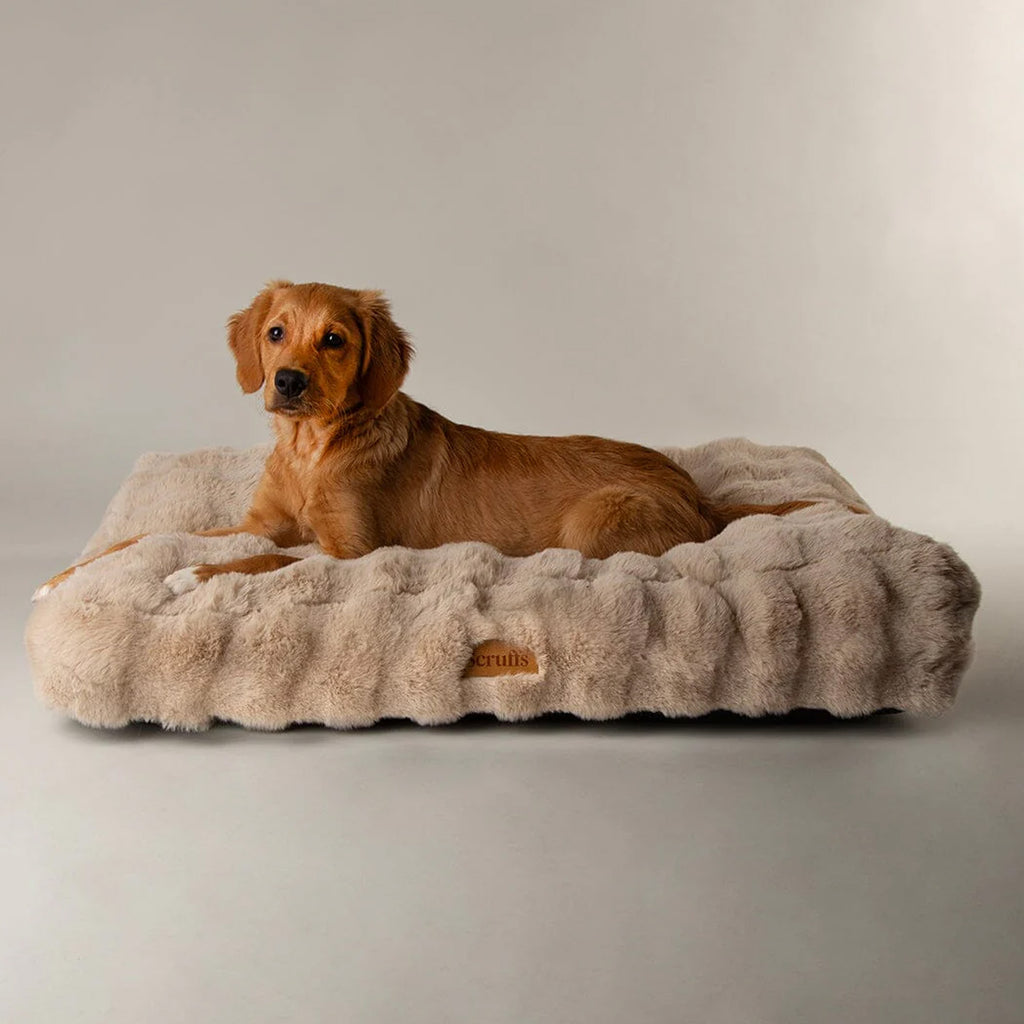 Scruffs Alpine Mattress - Champagne