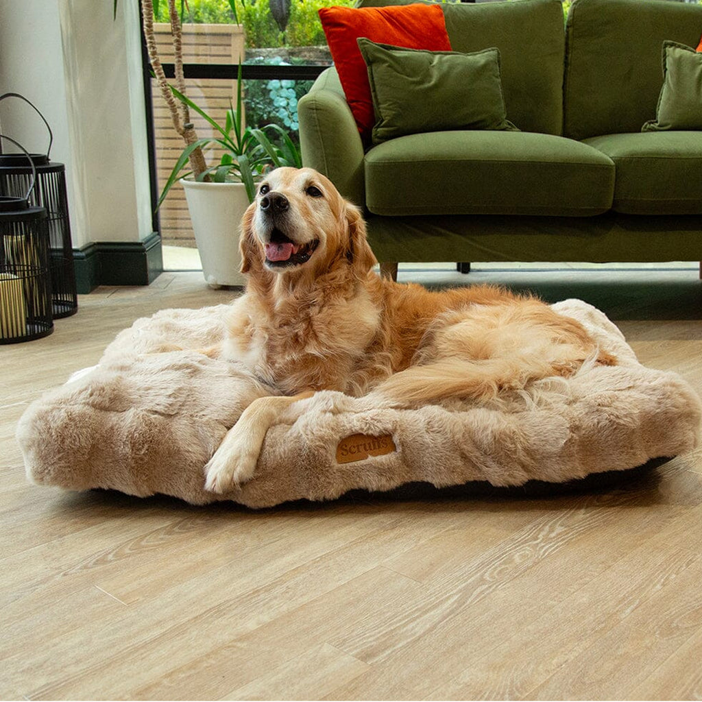 Scruffs Alpine Mattress - Champagne