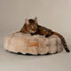 Scruffs Alpine Round Pet Cushion - Champagne