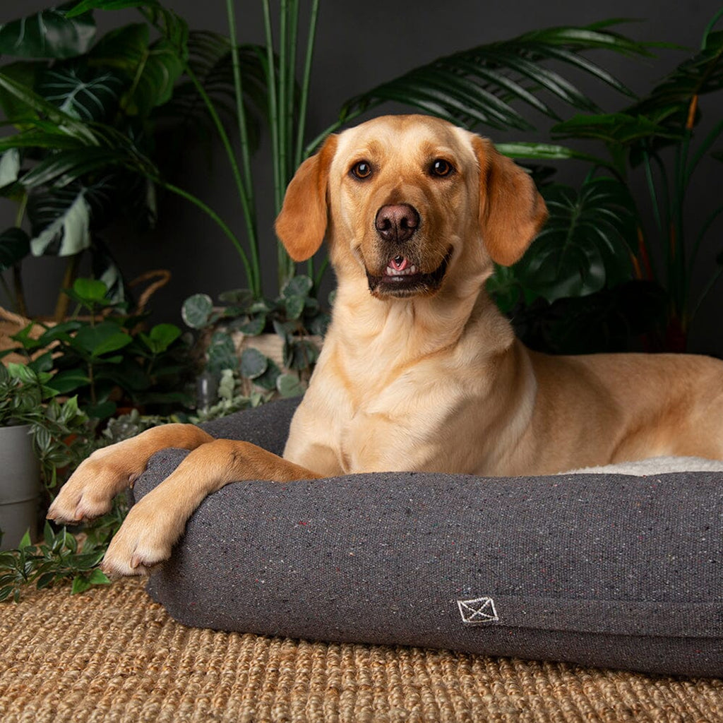 Scruffs Eco Eden Box Bed - Charcoal Grey