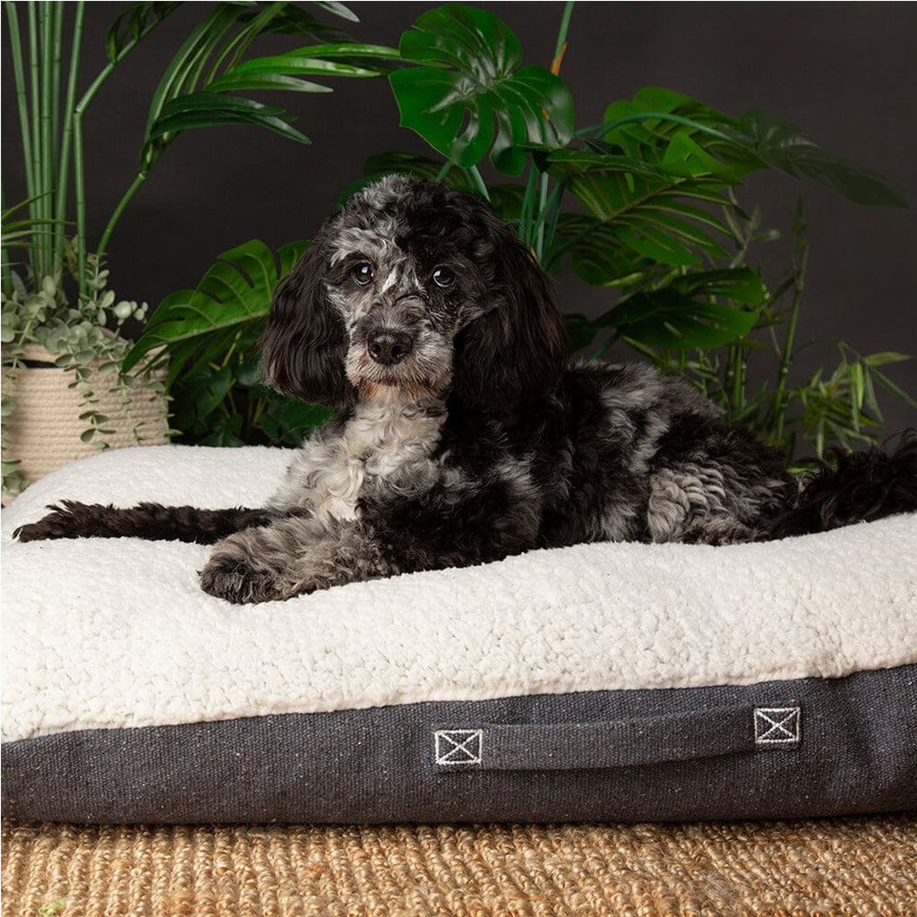 Scruffs Eco Eden Pillow - Charcoal Grey