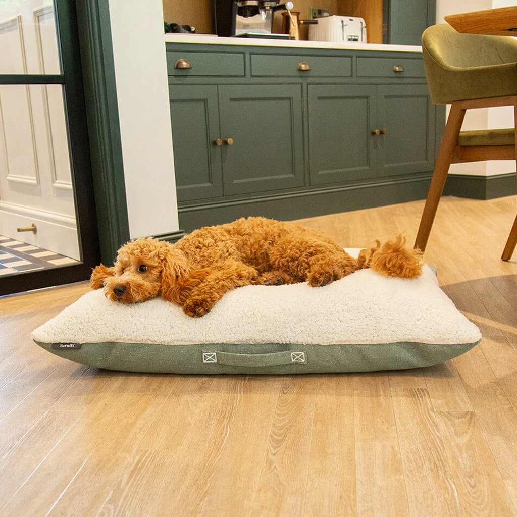 Scruffs Eco Eden Pillow - Green