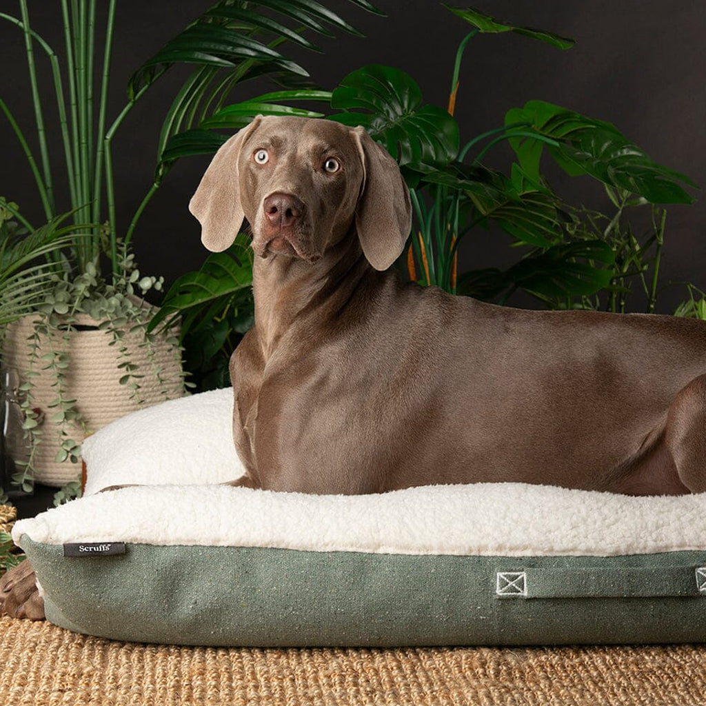 Scruffs Eco Eden Pillow - Green