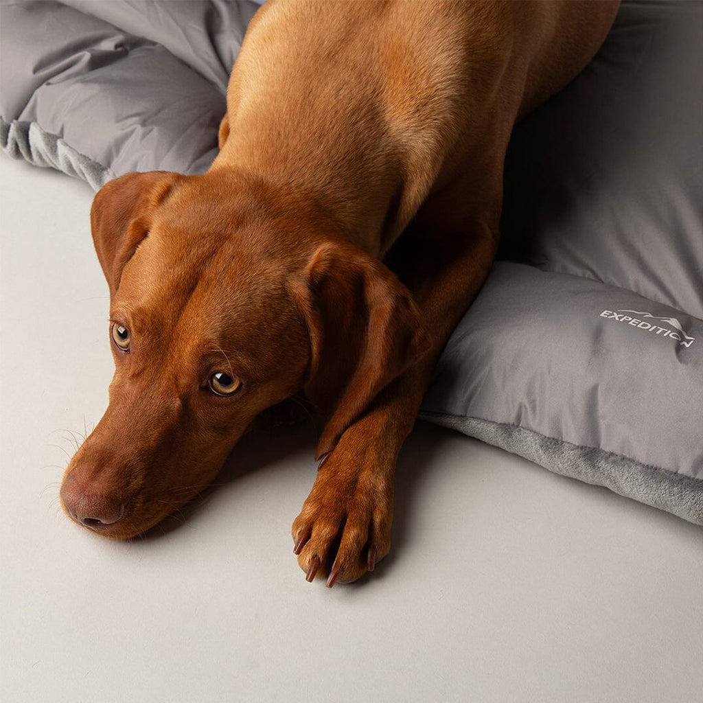 Scruffs Expedition Reversible Crate Mat Mattress - Storm Grey