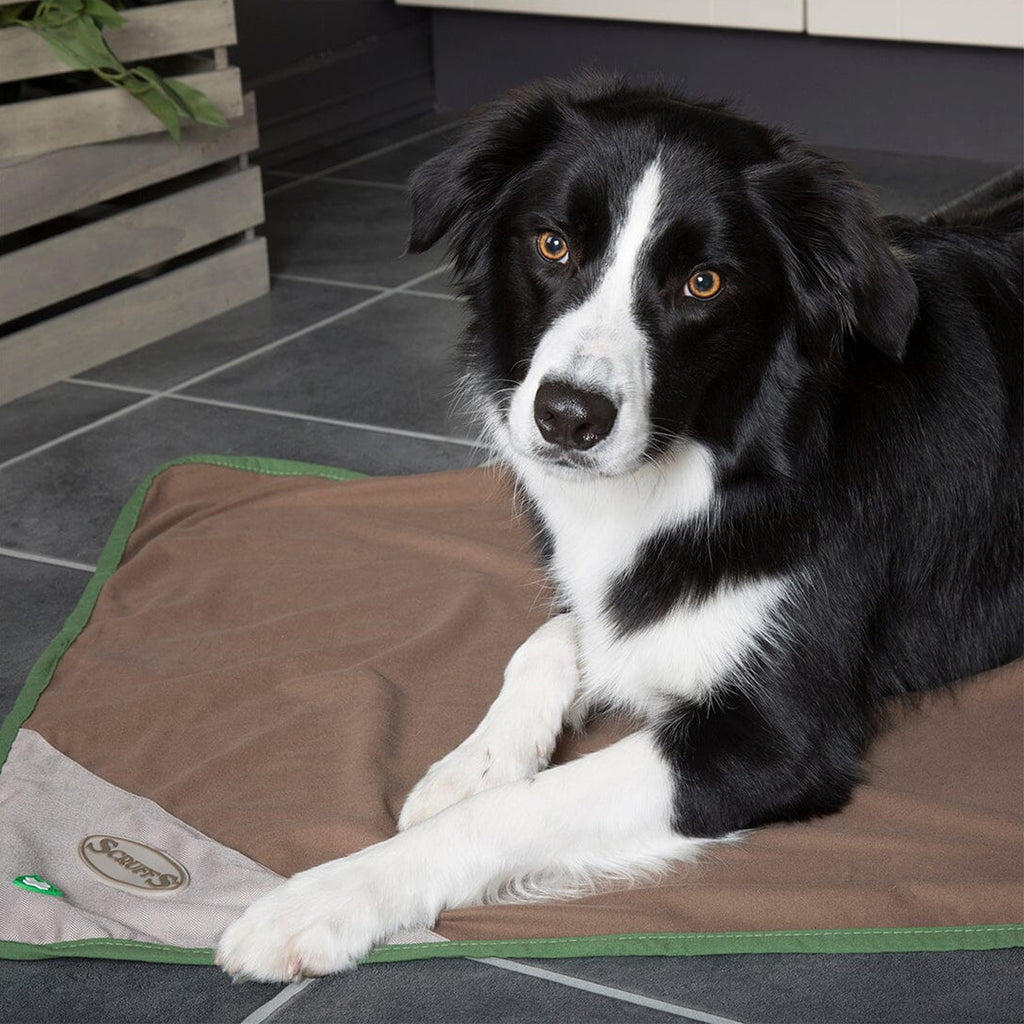 Scruffs Insect Shield Pet Blanket - Taupe