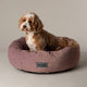 Scruffs Oslo Ring Bed - Blush Pink