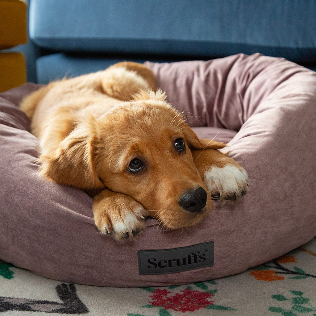 Scruffs Oslo Ring Bed - Blush Pink