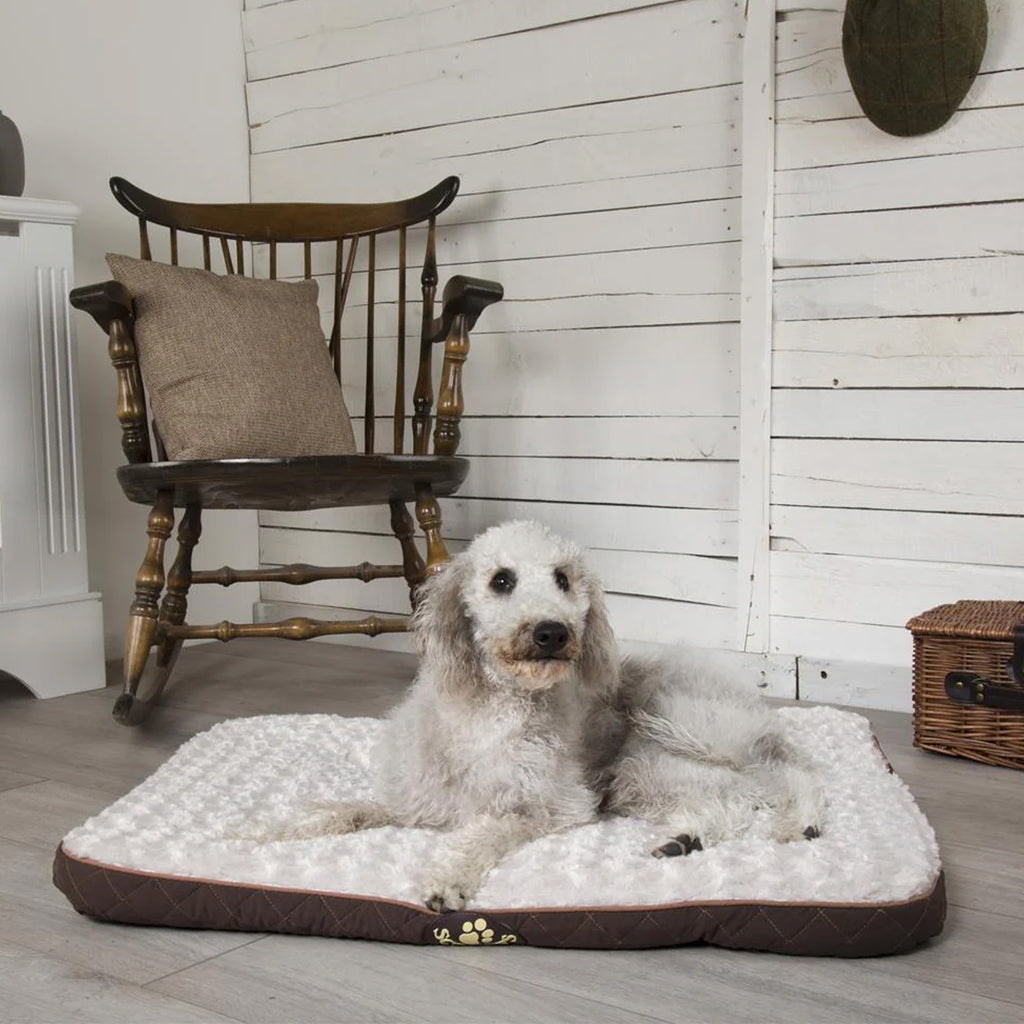 Scruffs Wilton Mattress - Chocolate Brown