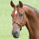 Shires Blenheim Cavesson Noseband - Brown