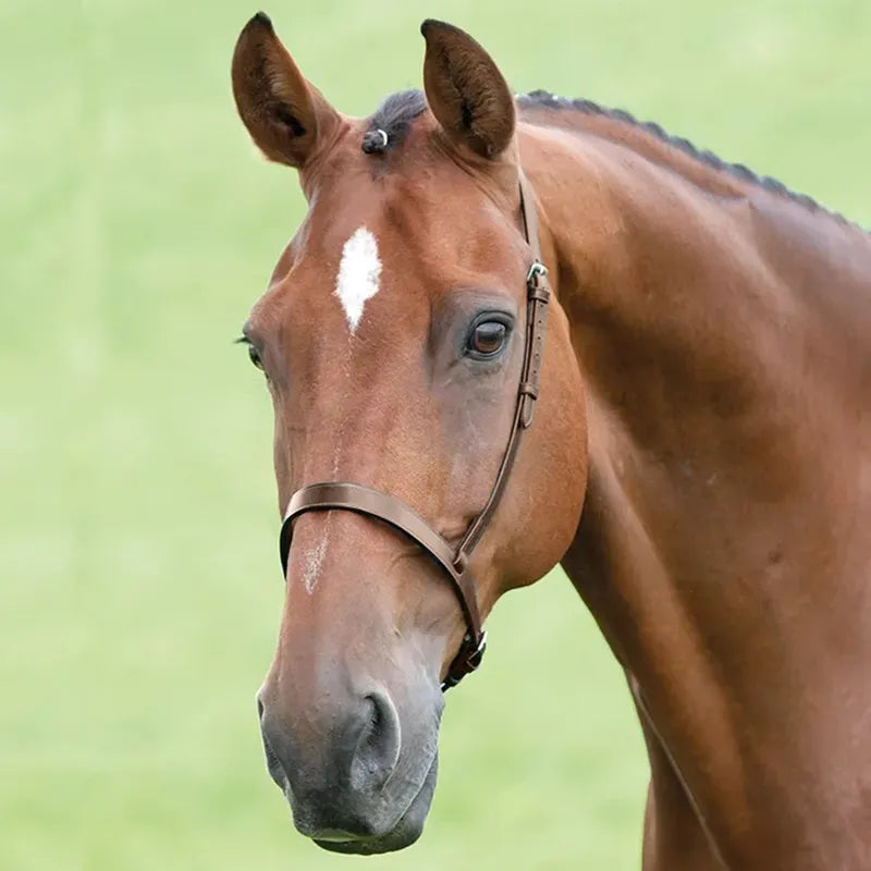 Shires Blenheim Cavesson Noseband - Brown