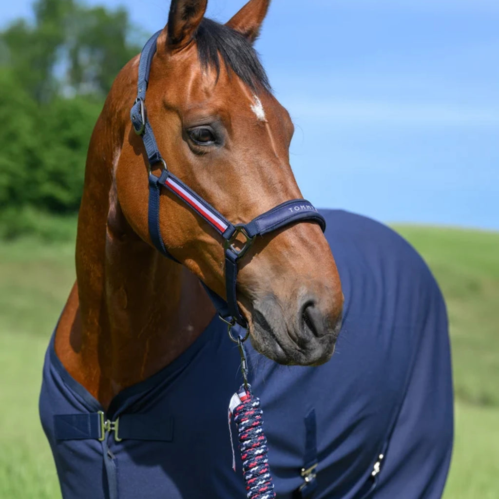 Tommy Hilfiger Yale Headcollar and Leadrope Rope - Desert Sky