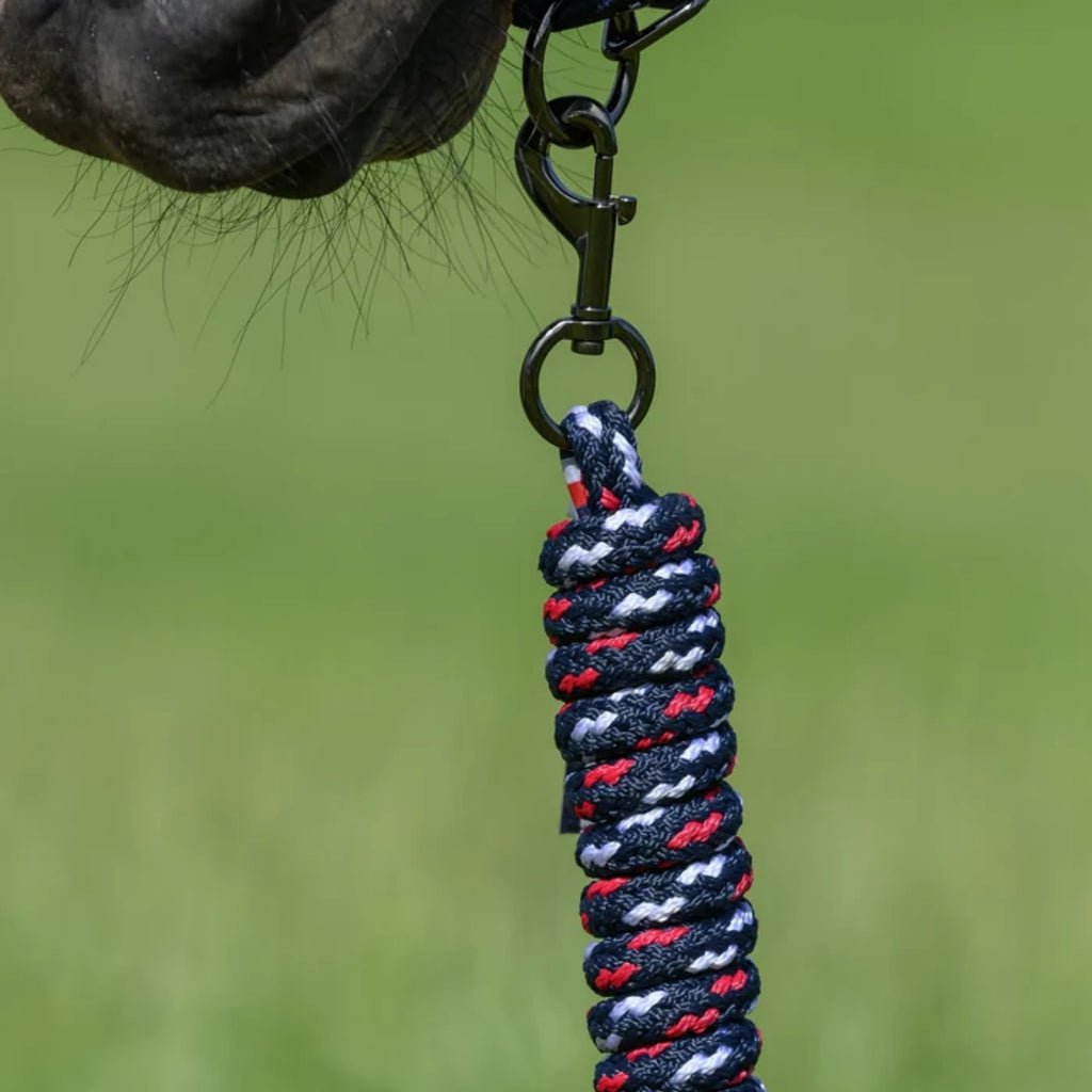 Tommy Hilfiger Yale Headcollar and Leadrope Rope - Desert Sky
