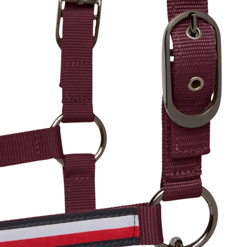Tommy Hilfiger Yale Headcollar and Leadrope Rope - Deep Burgundy