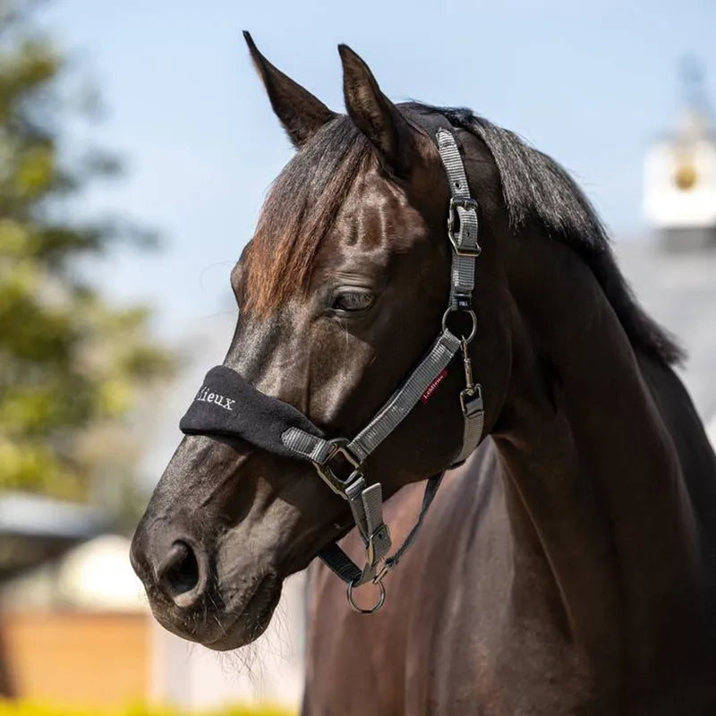 LeMieux Vogue Headcollar and Leadrope - Black