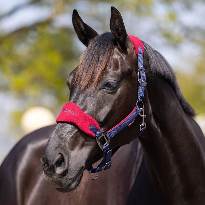 LeMieux Vogue Headcollar and Leadrope - Burgundy