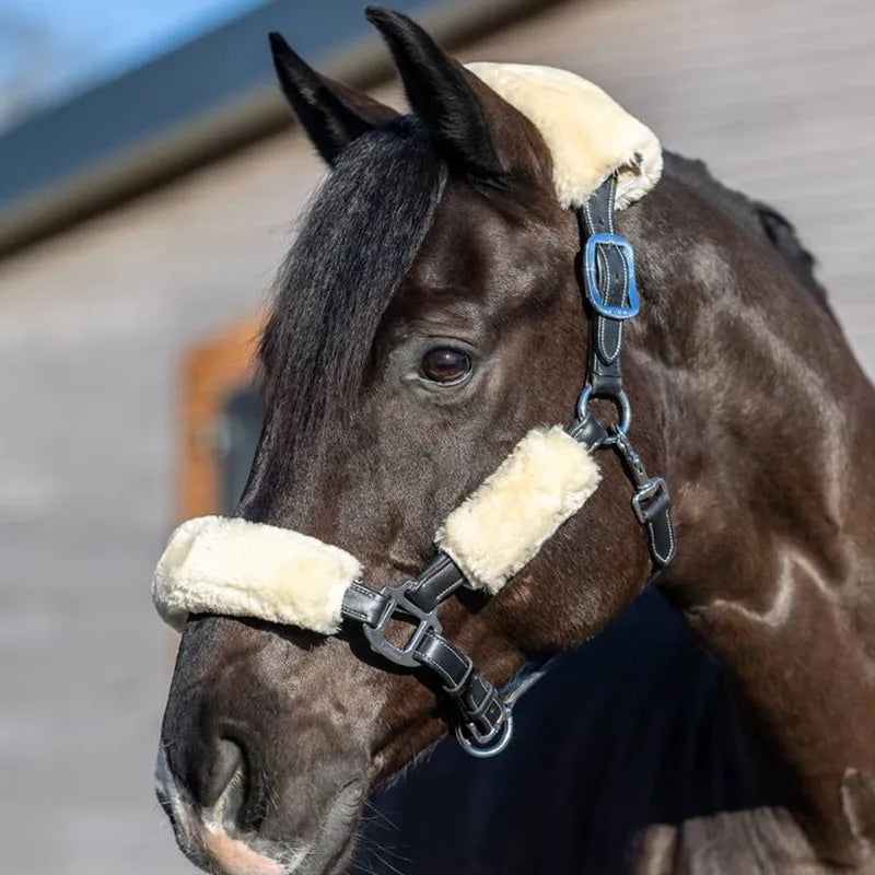 LeMieux Simuwool Headcollar Set - Natural