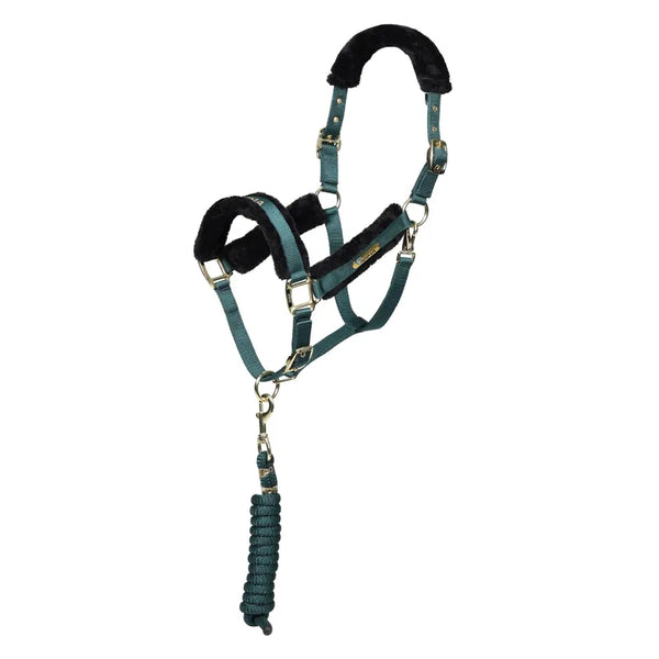 ARMA Logo Headcollar and Lead Rope - Green