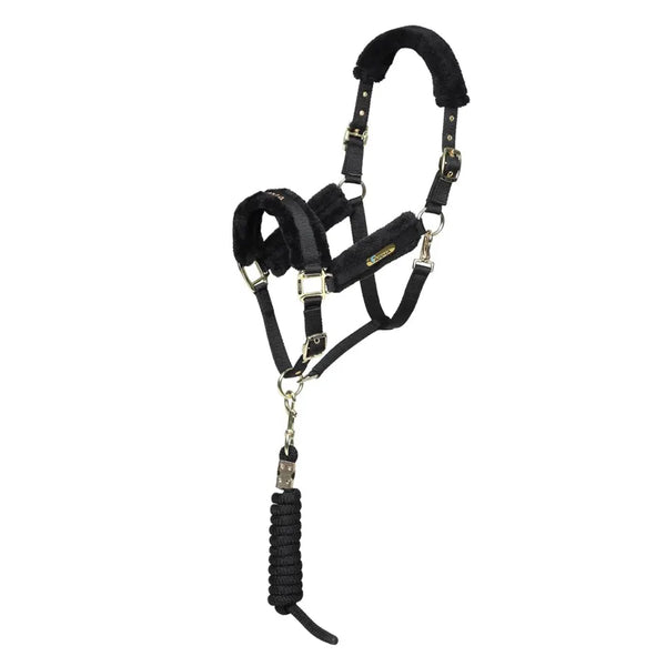 ARMA Logo Headcollar and Lead Rope - Black