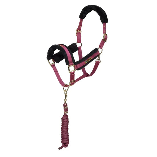 ARMA Logo Headcollar and Lead Rope - Burgundy