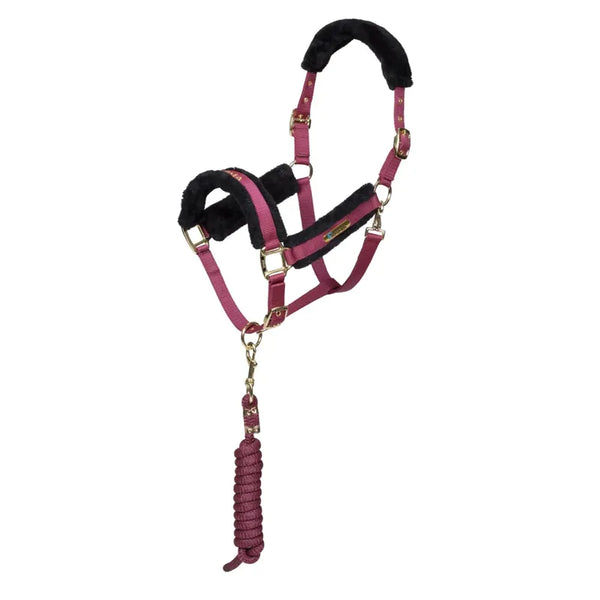 ARMA Logo Headcollar and Lead Rope - Burgundy