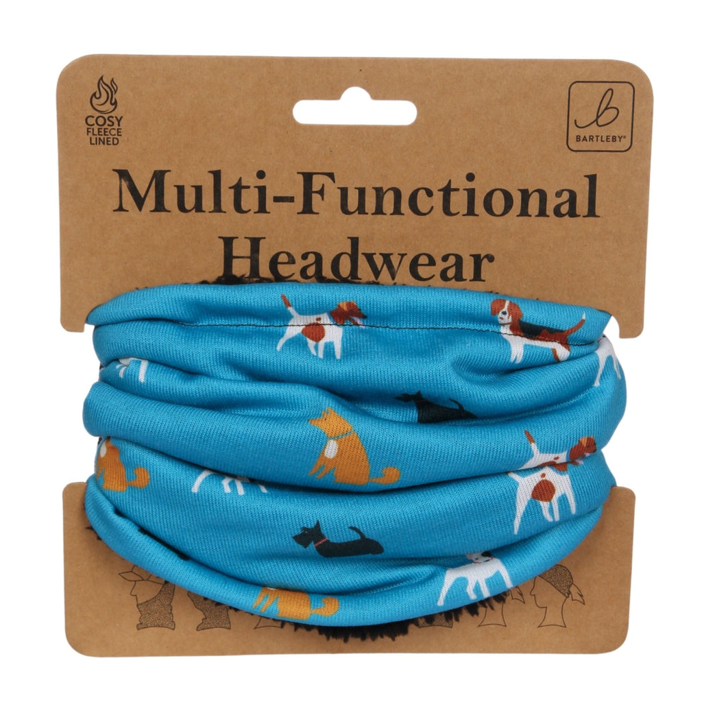 Bartleby Funky Neck Warmer - Doggy Diva