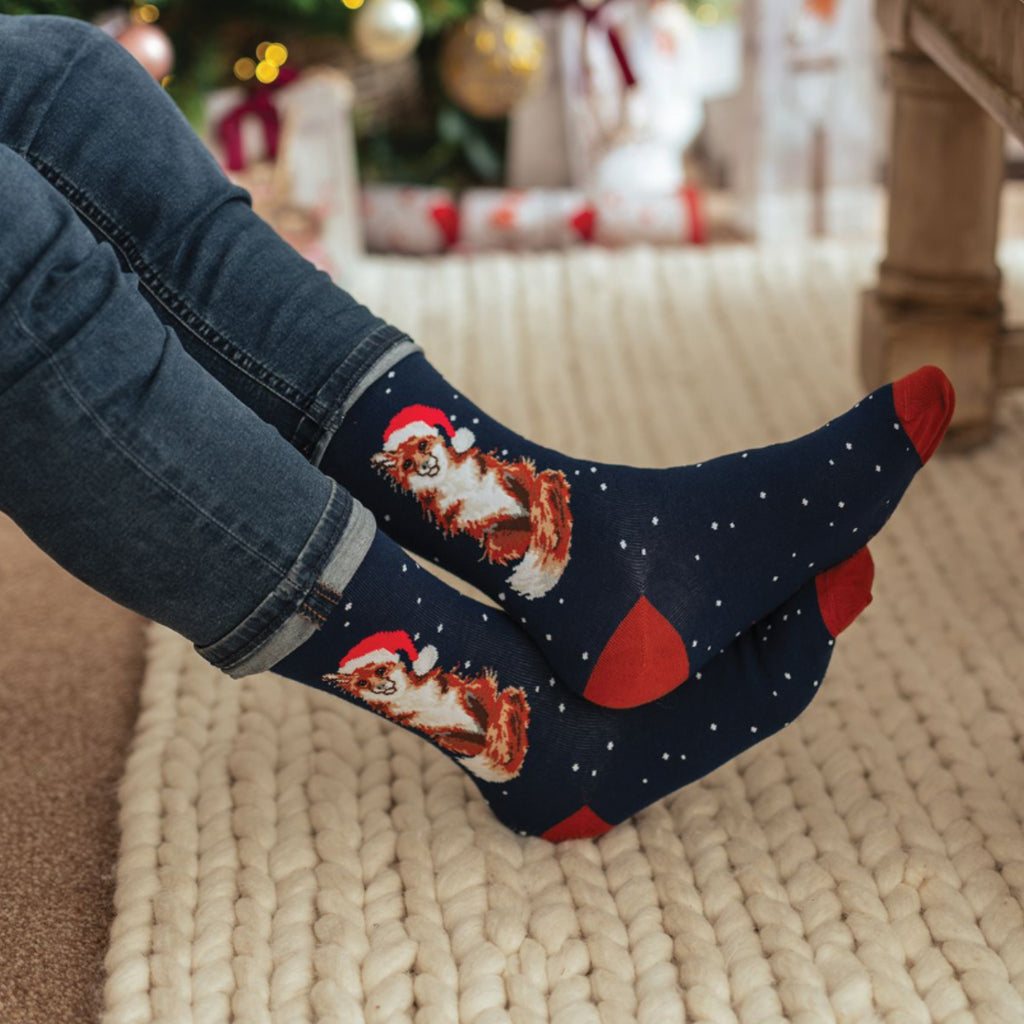 Wrendale Mens Christmas Socks Festive Fox