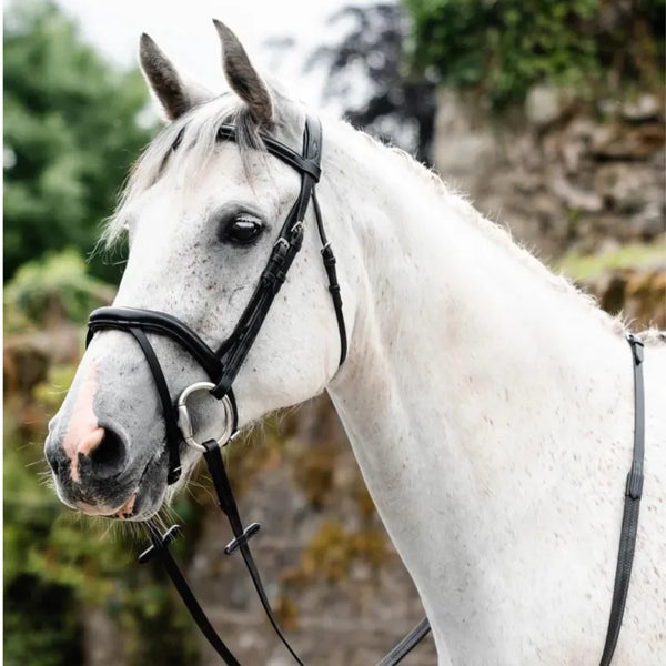 MACKEY LEGEND ATHENA BRIDLE BLACK