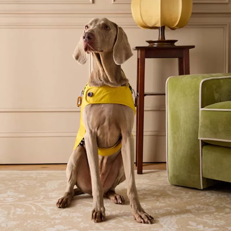 Joules Gold Dog Jacket
