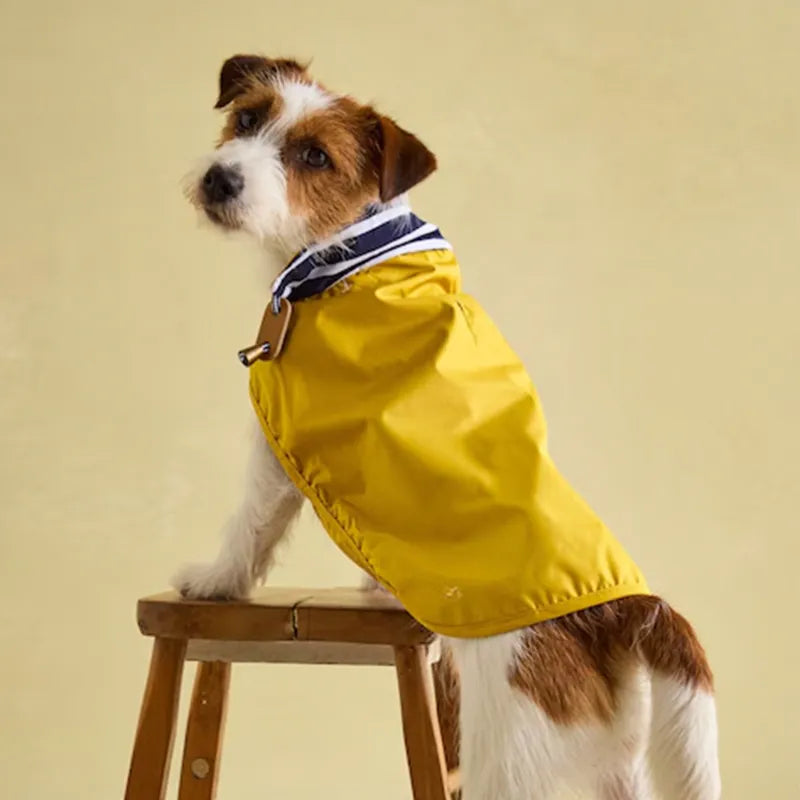 Joules Gold Dog Jacket