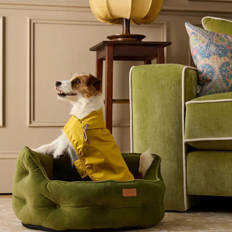 Joules Gold Dog Jacket
