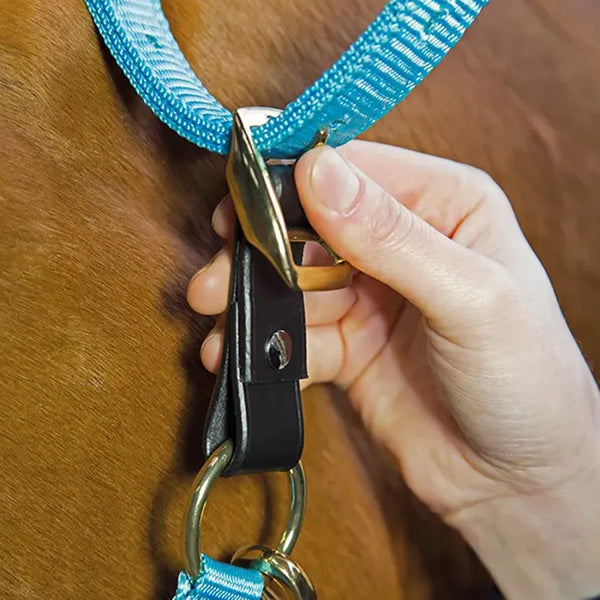 Aviemore Headcollar Breakaway Attachment