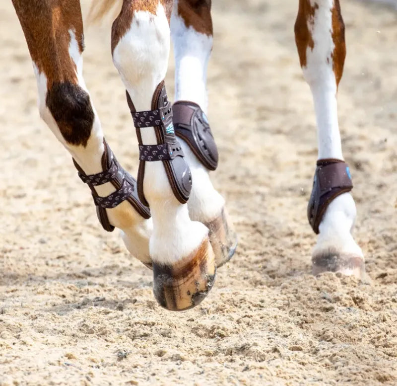 ARMA Carbon Fetlock Boots - Brown
