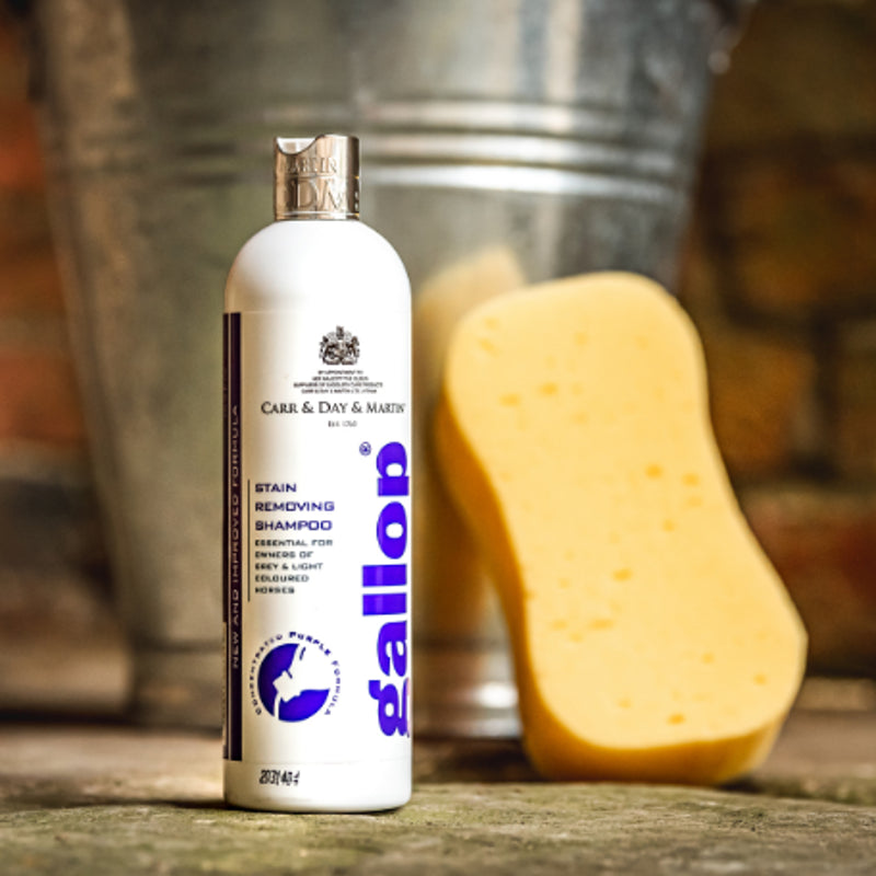 Carr Day Martin Gallop Stain Removing Shampoo - 500ml