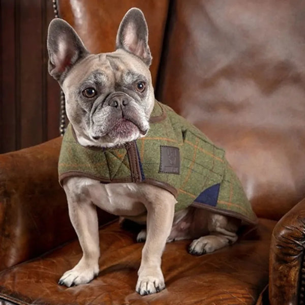 Digby and Fox Tweed Dog Coat - Green