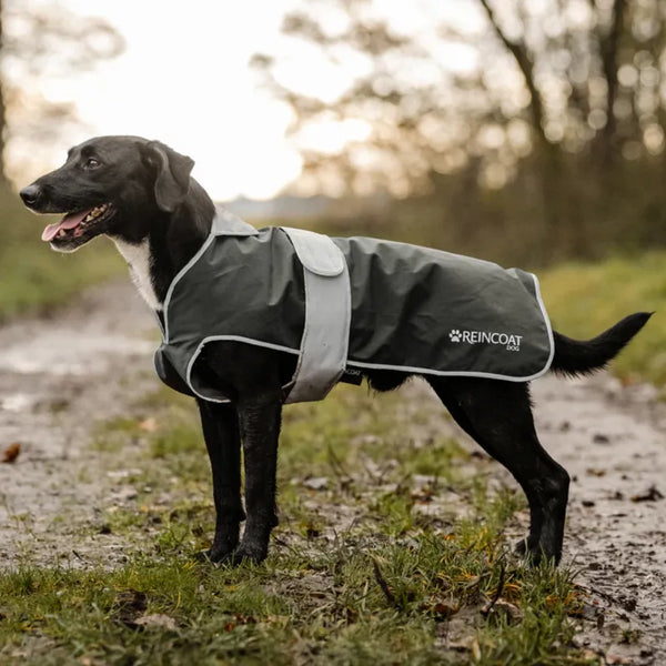 Reincoat Dog Coat - Olive