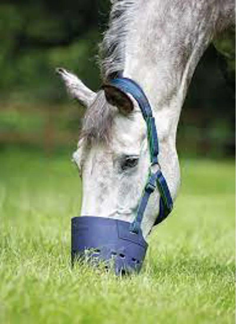 Flexi Grazer Muzzle - Navy