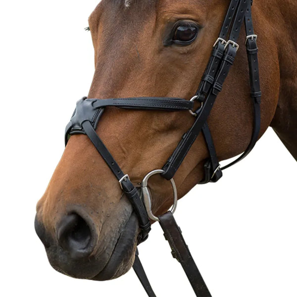 Fairfax Grackle Noseband - Black