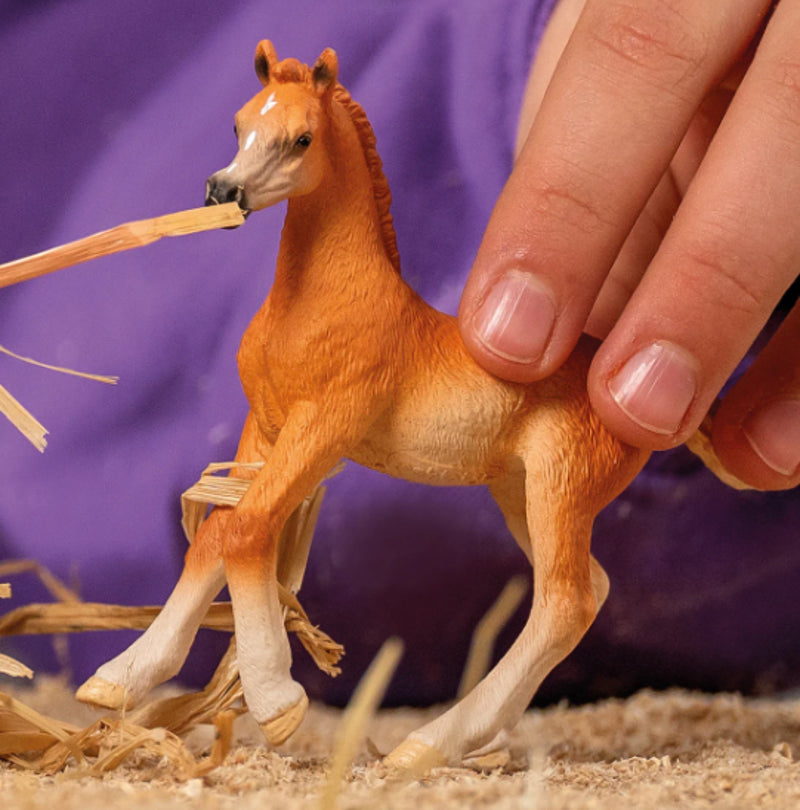 Schleich Arab Foal
