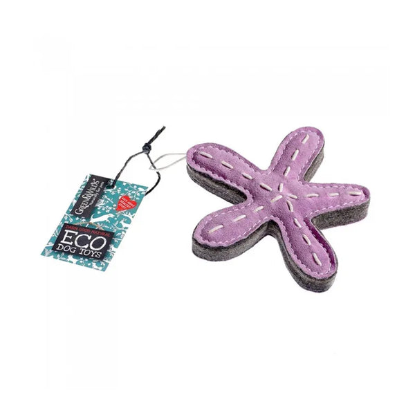 Green and Wilds Stanley The Starfish Dog Toy