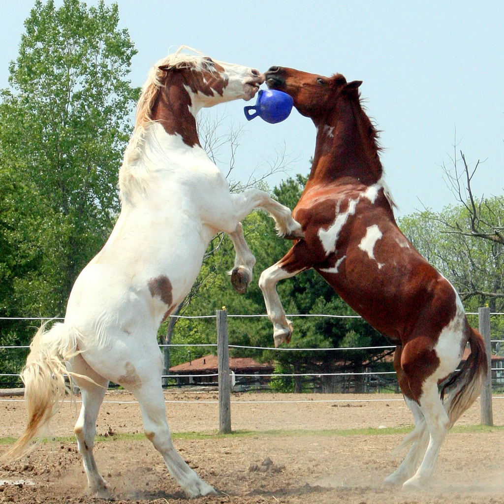 Horsemen's Pride Jolly Ball - Red 10