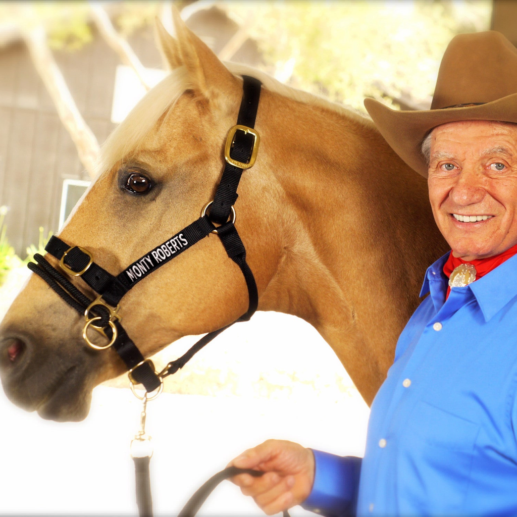 Monty Roberts Dually Halter - Medium