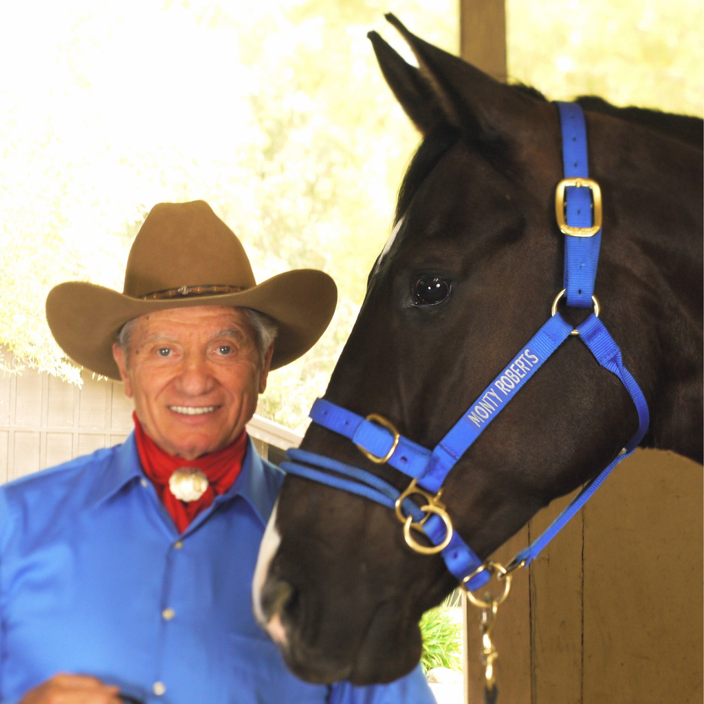 Monty Roberts Dually Halter - Large