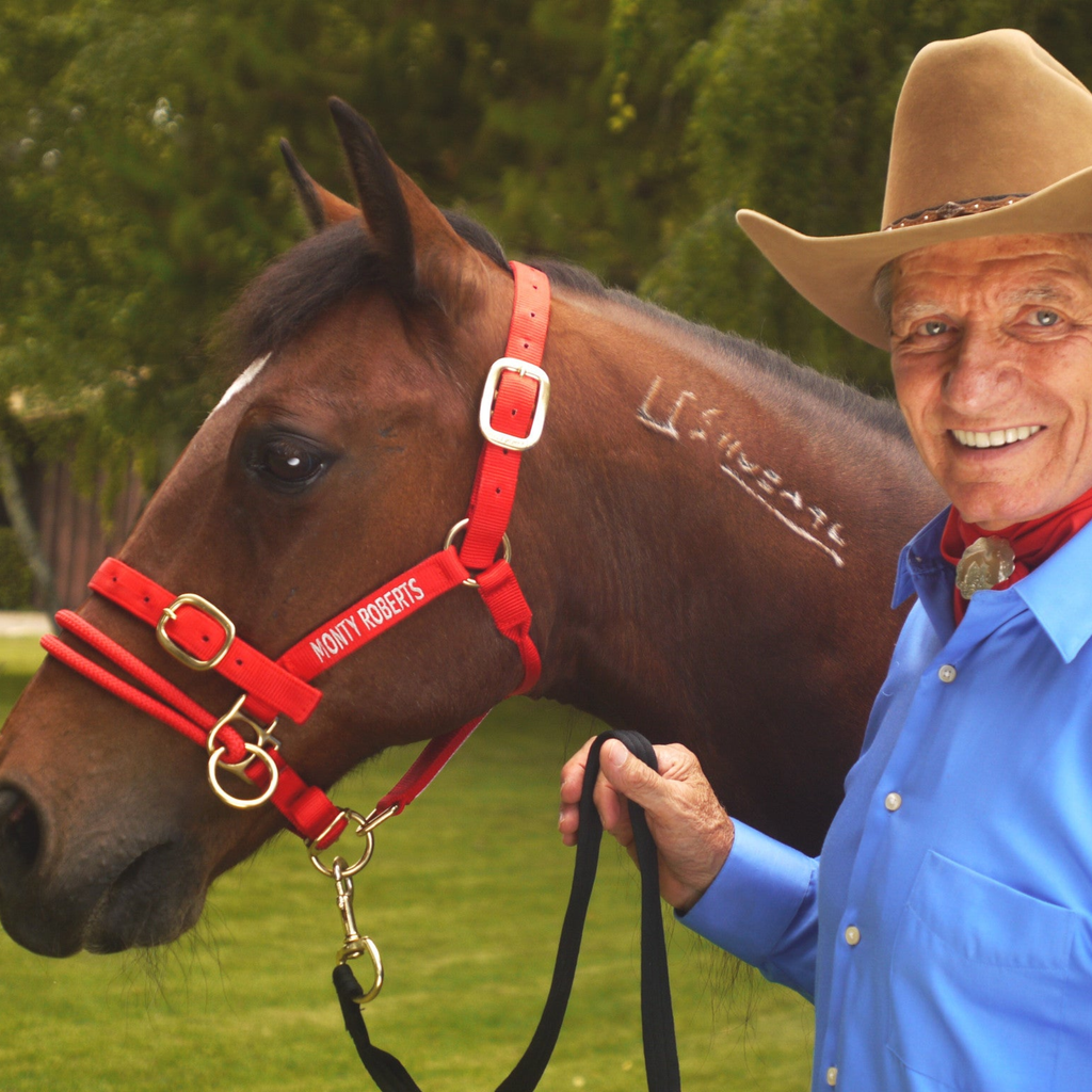 Monty Roberts Dually Halter - Small
