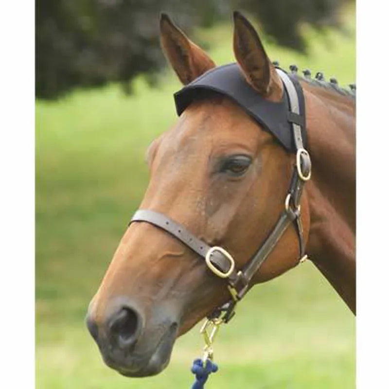 Hy Poll Guard