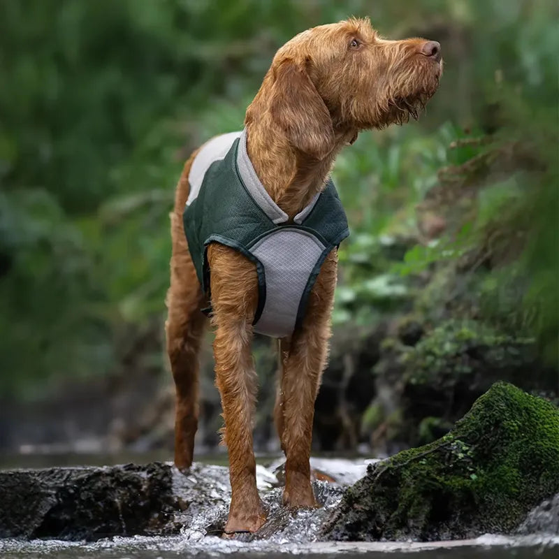 Ruff and Tumble Cooling Coat