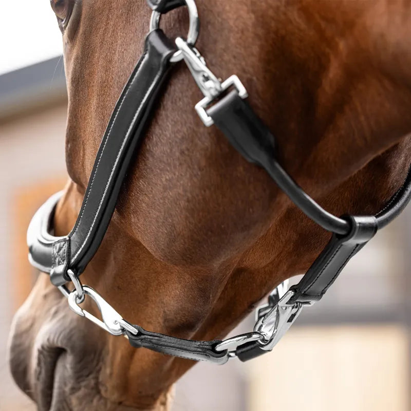 LeMieux Leather Grooming Headcollar - Black