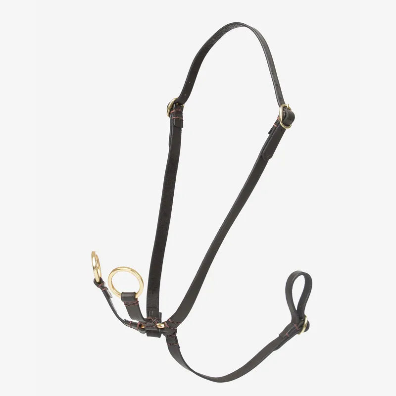 LeMieux Hobby Horse Running Martingale - Brown